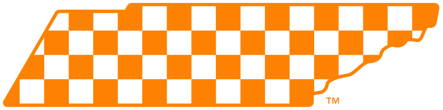 Tennessee Volunteers 2015-Pres Secondary Logo diy DTF decal sticker